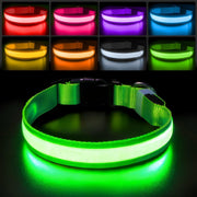 PcEoTllar collier lumineux vert vue avant, visibilité améliorée