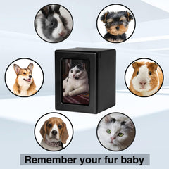 PCS PET CREMATORY SUPPLIES urne en usage sur table, présente la photo du compagnon
