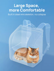 Pecute gros plan bulle transparente offrant visibilité et sécurité
