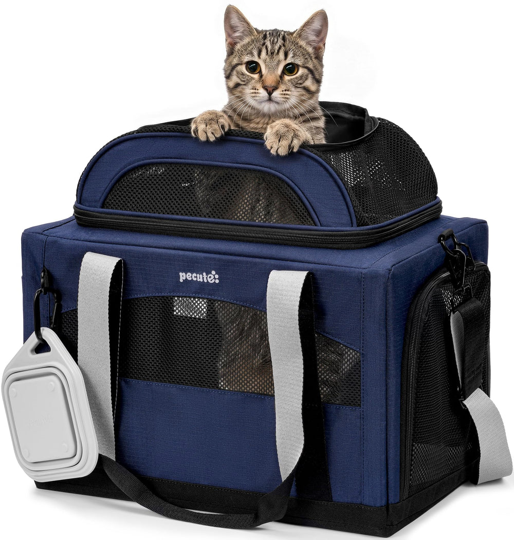 Pecute vue avant du transporteur bleu montrant design et stabilité