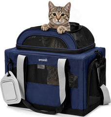 Pecute vue avant du transporteur bleu montrant design et stabilité