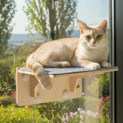 Pecute perchoir face avant montrant support stable et design moderne