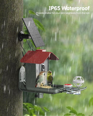 PEEIPM bol et compartiment nourriture illustrant distribution adaptée pour oiseaux