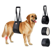 Perfitel harnais sling vue avant montrant maintien sécurisé