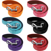 Perthlin laisses pack avant montrant six couleurs pour organisation et praticité