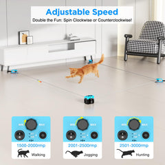 Pet Deluxe télécommande présentée avec boîtier pour contrôle facile