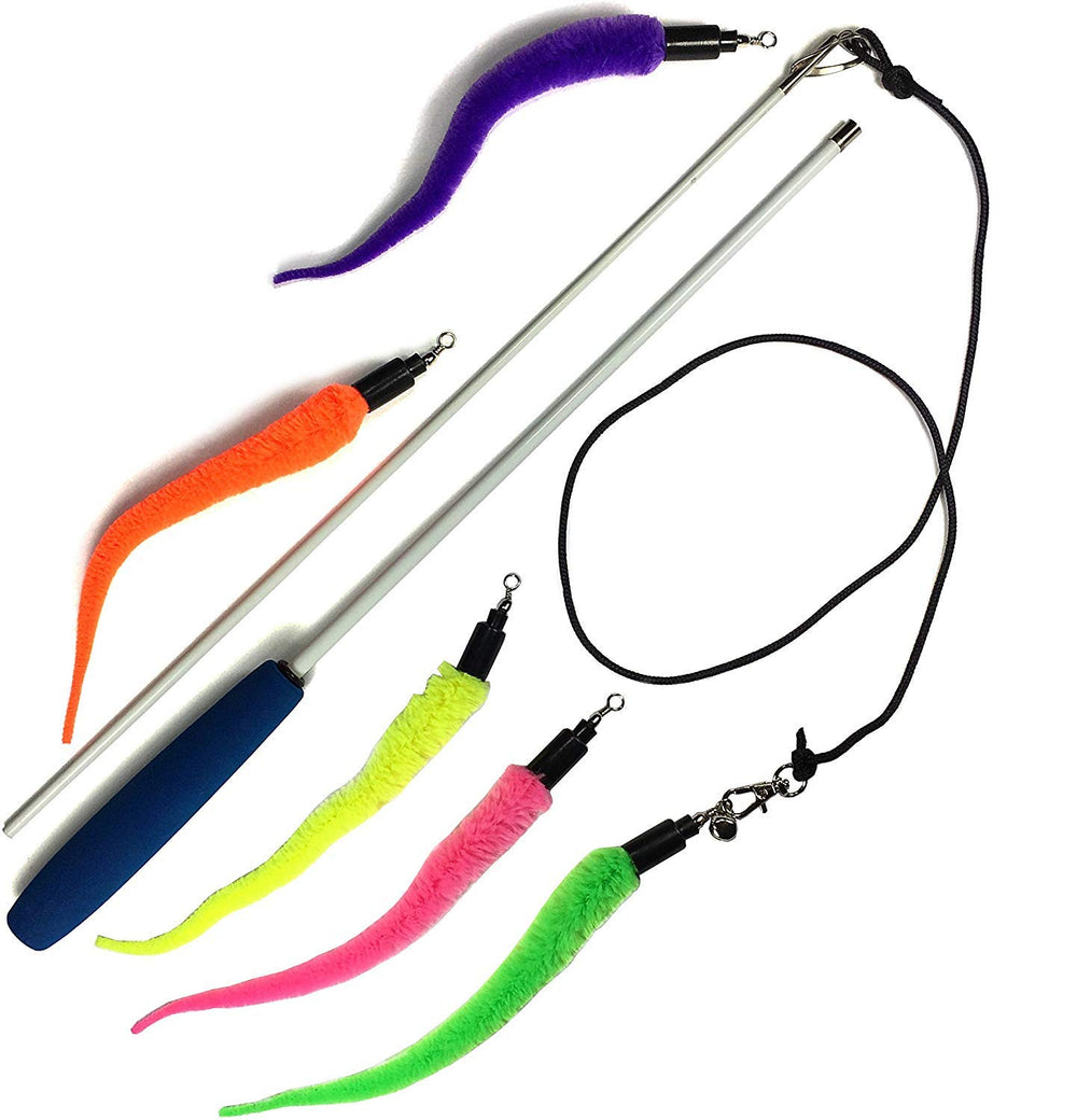 Pet Fit For Life canne et leurres vue avant montre polyvalence jeu