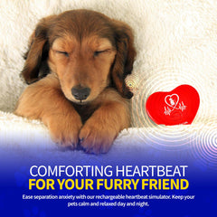 Pet Fit For Life placé dans un panier de chiot pour calmer durant la sieste