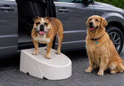 Pet Gear One Step face avant en sable montrant stabilité et intégration déco