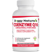 Pet Health Pharma boîte CoQ10 40 mg 120 comprimés montrant l’emballage pratique