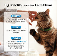 Pet Honesty bouchée tenue en main montrant taille et facilité d'usage