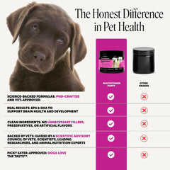 Pet Honesty comparaison de taille des comprimés pour évaluer la portion
