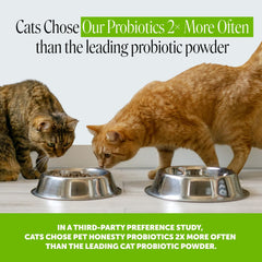 Pet Honesty friandise gros plan montrant la croûte croquante appétente