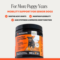 Pet Honesty pastille gros plan illustrant appétence et formulation douce