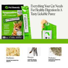 Pet Honesty gros plan saumon réel utilisé pour un goût naturel attrayant