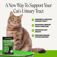 Pet Honesty gros plan texture onctueuse prouvant appétence pour chat