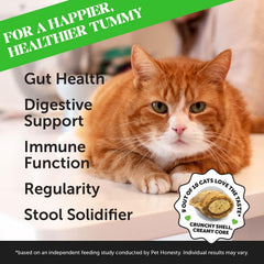 Pet Honesty texture intérieure révélant cœur crémeux et attrait gustatif