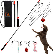 Pet Interactives vue avant du PET Wrangler 2.0 montrant la canne complète et le sac