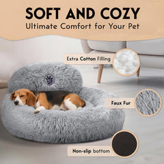 PET JETT bordure surélevée détail pour soutien tête et sécurité