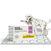 Pet Life Unlimited emballage avant montrant le lot et la taille XXL