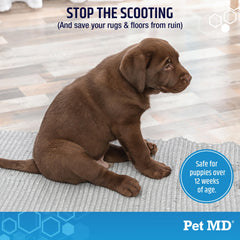 Pet MD friandise texture tendre en gros plan, facile à mâcher pour chien âgé