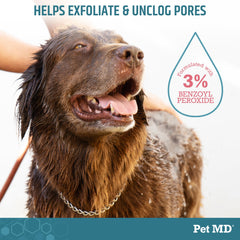 Pet MD en application sur chien montrant nettoyage et pelage rafraîchi