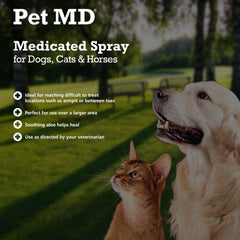 Pet MD spray utilisé sur un chien, nettoyage ciblé et confort immédiat