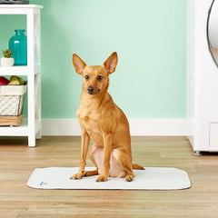Pet Parents arrière StickyPaw antidérapant stabilise la protection