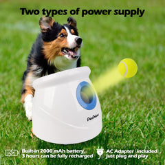 Pet Prime chien récupérant la balle illustrant stimulation physique et amusement
