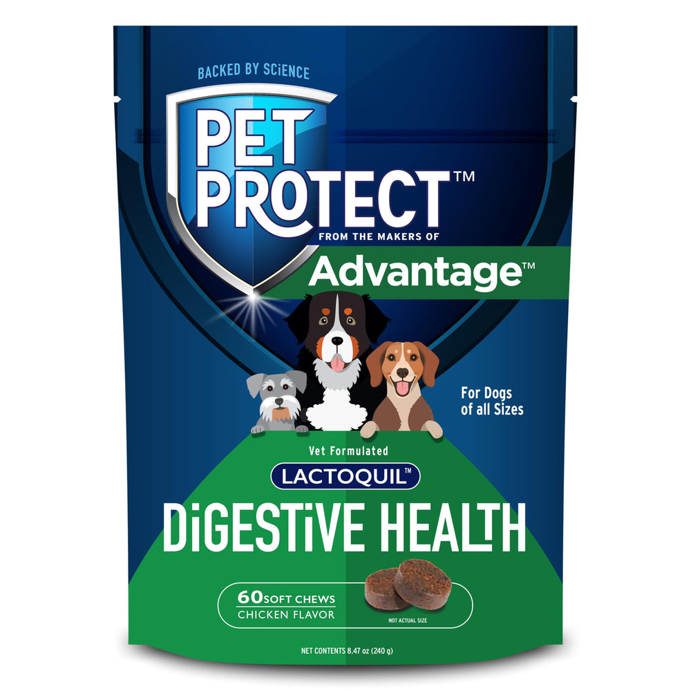 Pet Protect emballage face montrant sachet de 60 bouchées et informations claires