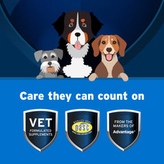 Pet Protect détail de la texture indiquant mastication facile