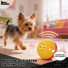 Pet Qwerks gros plan de la texture du Babble Ball pour durabilité visible
