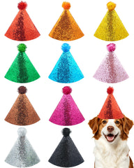 PET SHOW chapeau face avant montrant forme conique et couleurs vives