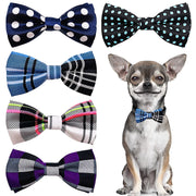 PET SHOW noeud devant emballage montrant assortiment et attrait visuel