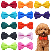 PET SHOW face avant du lot de 12 nœuds pour un look soigné
