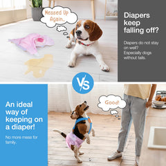Pet Soft clip métallique remplaçable assurant prise solide