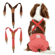 Pet Soft face avant emballage montrant le lot de deux bretelles, maintien fiable