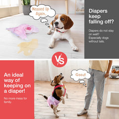 Pet Soft sangle élastique gros plan, confort contre la peau