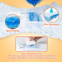 Pet Soft comparaison taille avec règle montrant adaptation XXS