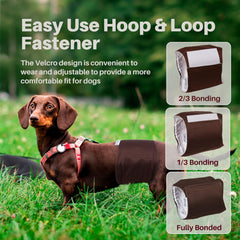 Pet Soft fermeture velcro solide, maintien sécurisé