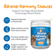 Pet Wellbeing gros plan sur la texture des chewies, appétence et facilité