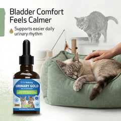 Pet Wellbeing étiquette détaillée mettant en avant ingrédients et dosage pour sécurité