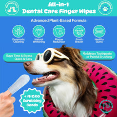 Pet Wipe Pals gros plan des microbilles nettoyantes pour éliminer plaque