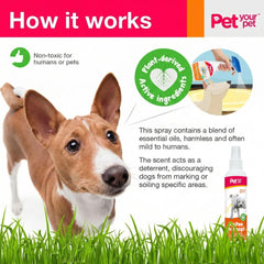 PET YOUR PET gros plan buse spray pour application précise et pratique