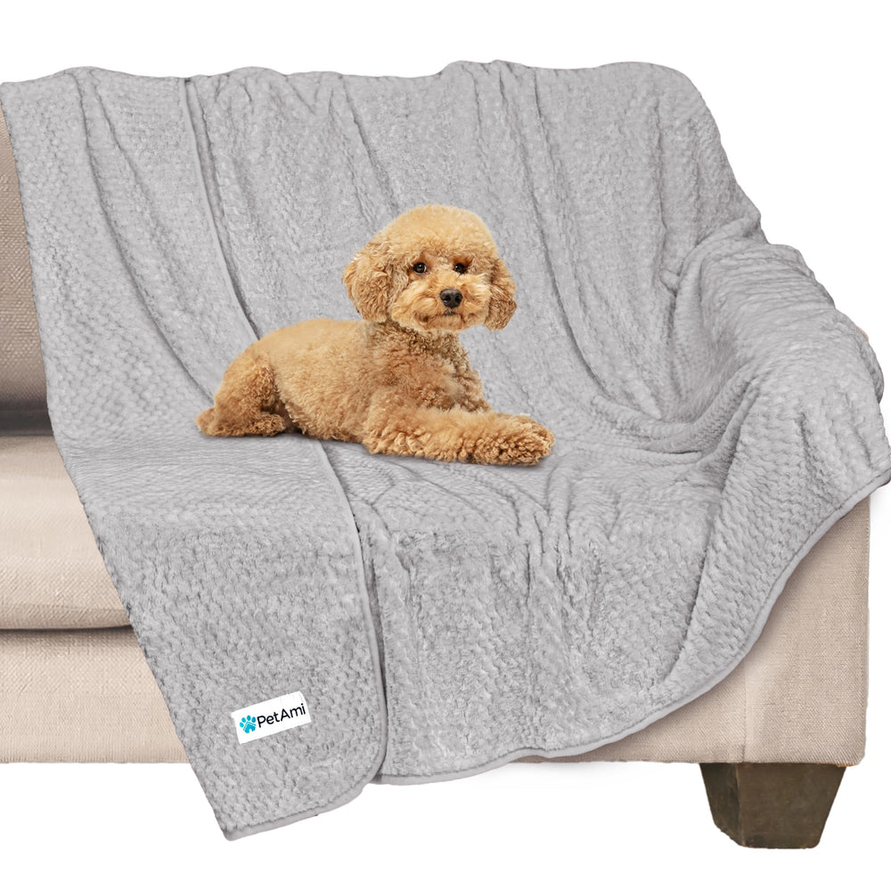 PetAmi couverture avant emballage montrant protection et taille pratiques