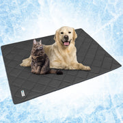 PetAmi couverture face avant montrant protection et confort