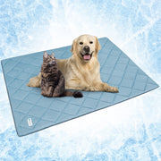 PetAmi couverture face entière montrant protection et confort