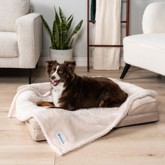 PetAmi détail couture renforcée pour durabilité accrue
