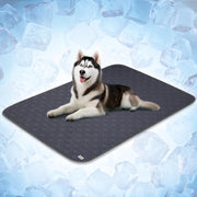 PetAmi tapis 60x80 face visible apportant confort rafraîchissant