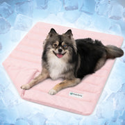 PetAmi tapis rafraîchissant face packaging montrant dimensions et usage pratique